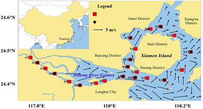 Mid-Level Riverine Outflow Matters: A Case of Microplastic Transport in the Jiulong River, China